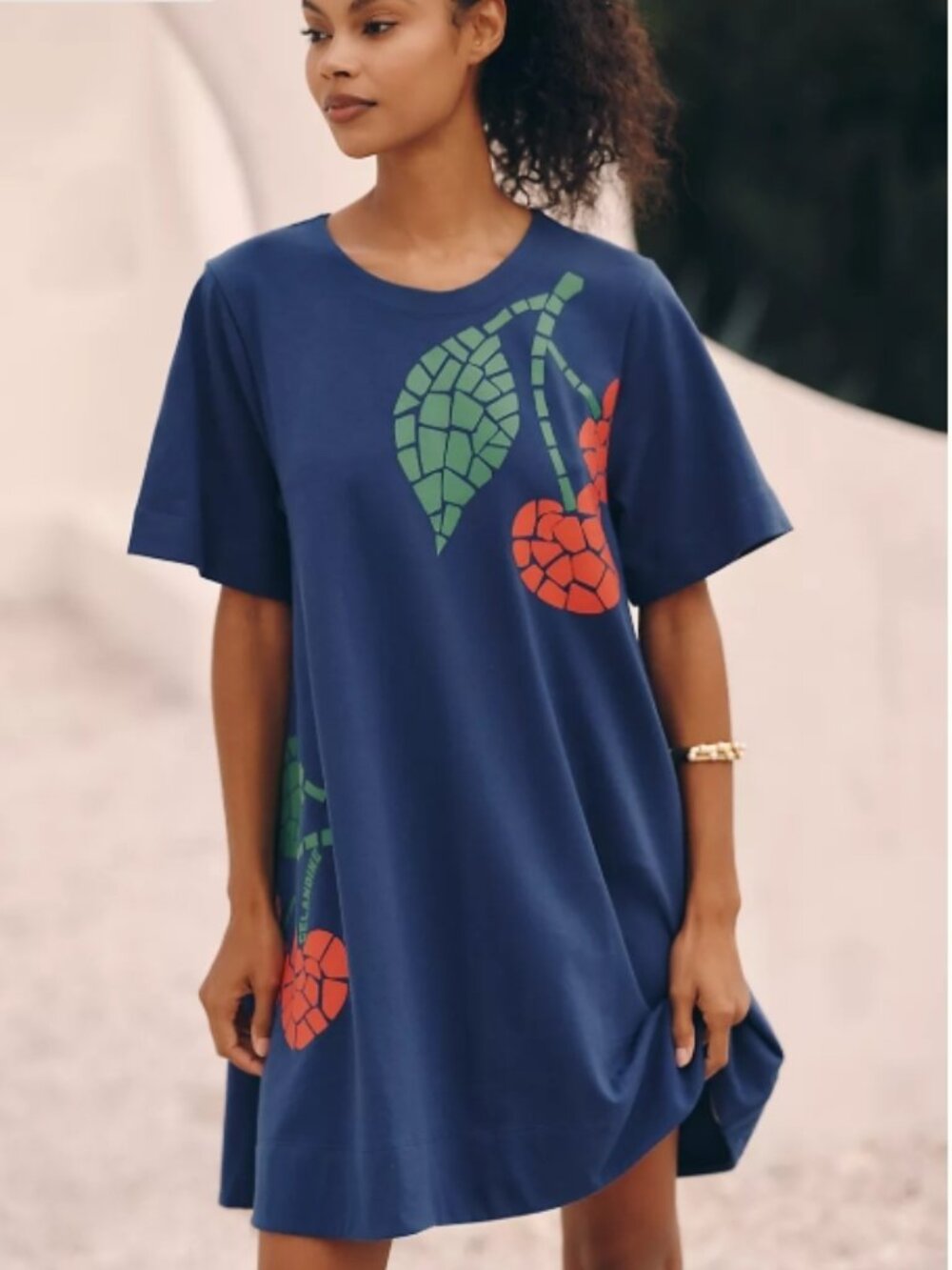 NWT Anthropologie Celandine Graphic Short-Sleeve 100% Cotton Mini Swing Dress